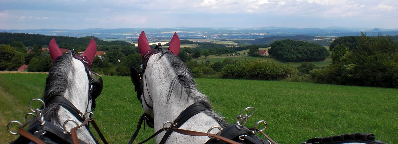 Kutschfahrten Dippoldiswalde und Glashütte